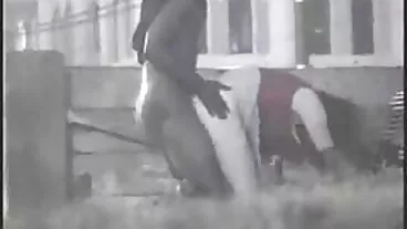 Cô gái tóc vàng thủ dâm MILF solo đồ chơi phimsexhayhd