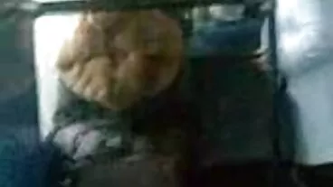 Báo sư Tử Báo phim heoxxx sư tử săn Bắn Cho Người đàn ông-pre pre