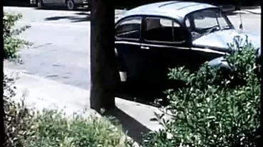 Cherrypimps: driverud sex hay pro