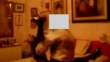 Nghiệp dư Châu á blowjob hardcore nhật bản thiếu coi phim jav niên