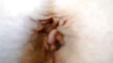 Hắn đã vào chưa? phim ses jav v. v.